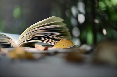 碩士報考法國維萊爾國際商學院國際碩士有什么好處？
